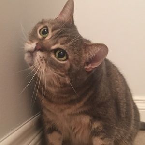 Meet your Posher, Erinn